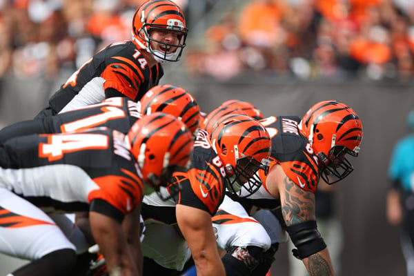 Bengals undergo significant coaching stuff change