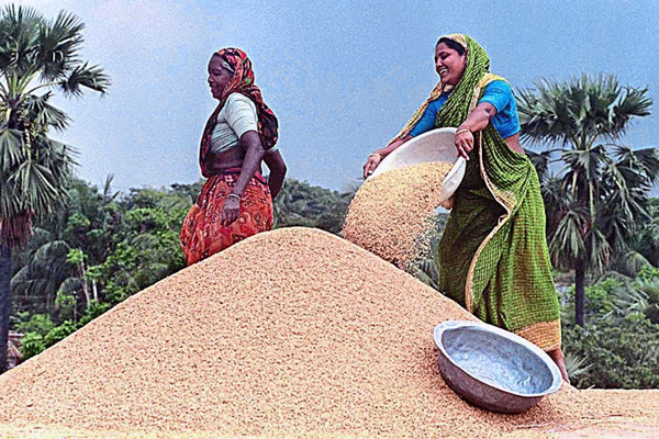 Bangladesh elected WFP executive board member