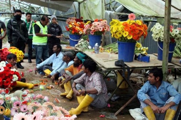 Malaysia halts intake of new workers
