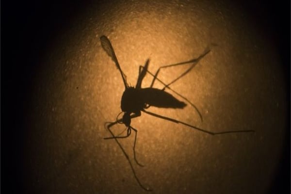 South Korea confirms first Zika case