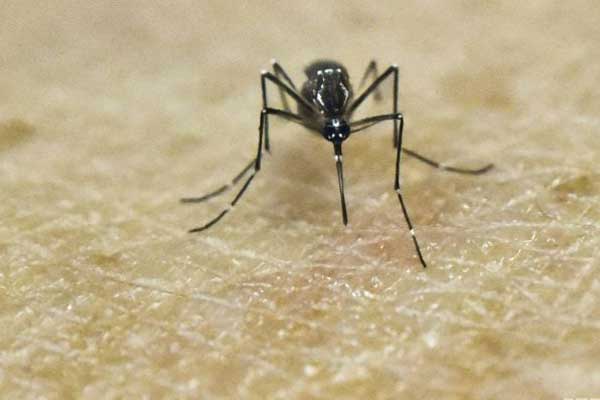 First Zika victim detected in Bangladesh