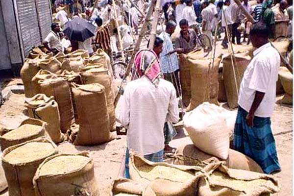 Govt to buy rice at Tk 32, paddy Tk 23
