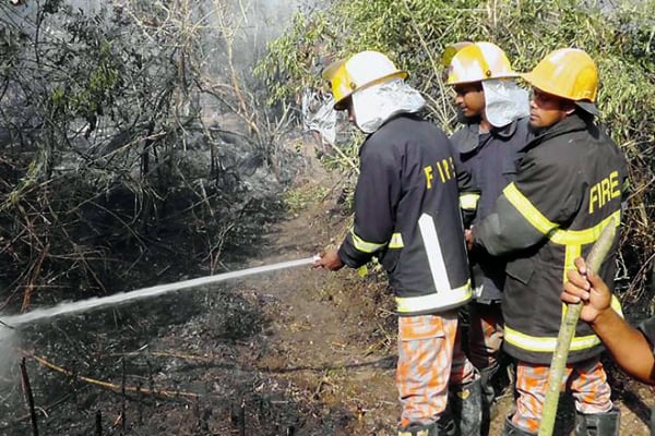 Sundarbans fire now under control