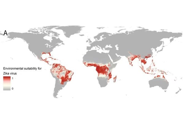 Zika virus: 2.2 billion people in 'at risk' areas