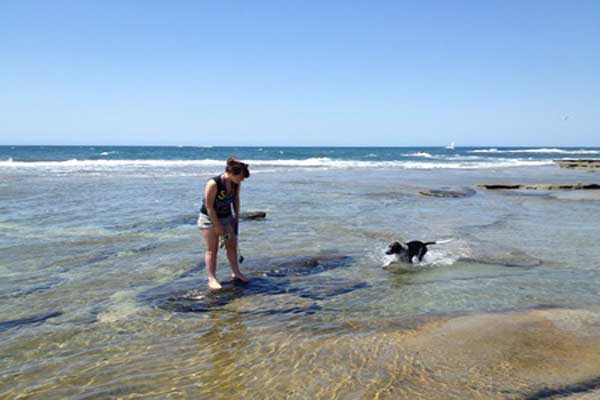 Crocodile attacks women in Australia