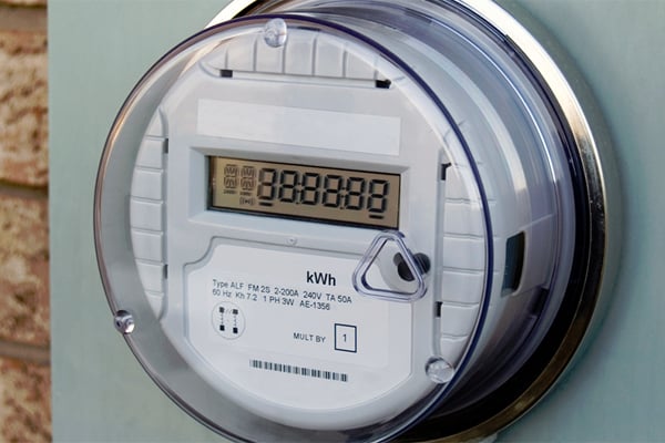 Who are the main defaulters in paying electricity bills