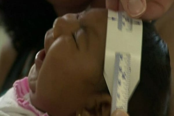 Scientists raise fear of higher Zika risk
