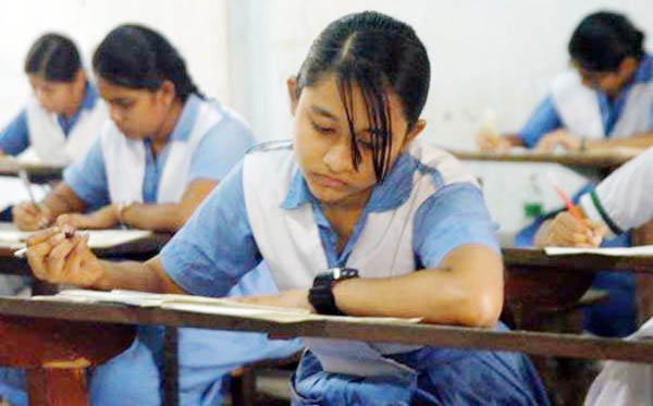 No primary terminal exam from this year