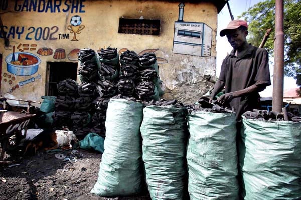 Charcoal emerges as new export item