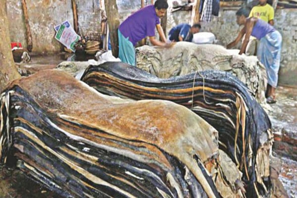 Tk 10,000 daily fine for Hazaribagh tanneries