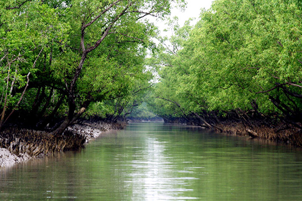Indian trawler capsize: Bodies of 5 recovered in Sundarbans