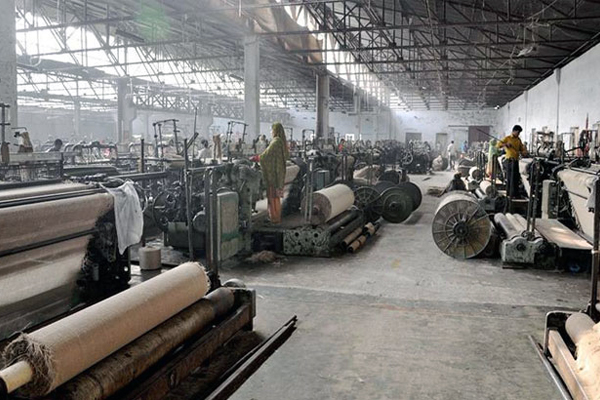 Dearth of fund hits jute purchase