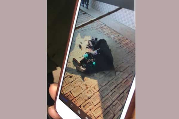 Ashkona raid: 2 killed in suicide blasts
