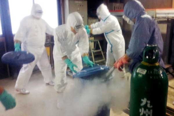 Japan culls 280,000 more birds for avian flu