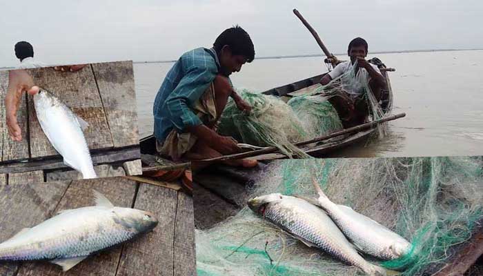 Fishermen returning from sea following ban on Hilsa fishing