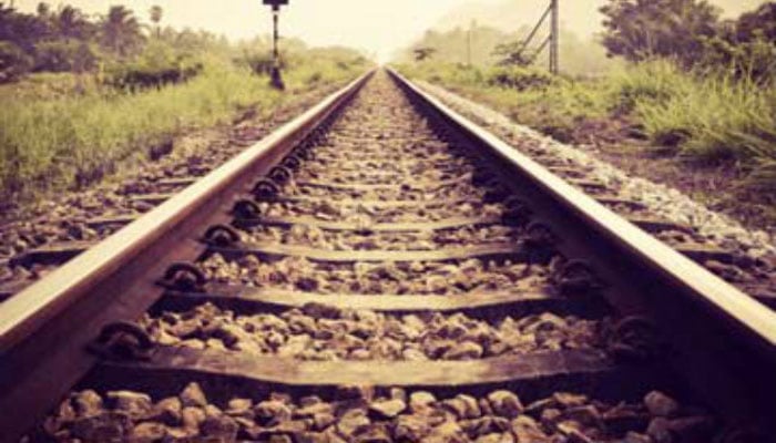 Rajshahi-C’nawabganj rail link restored