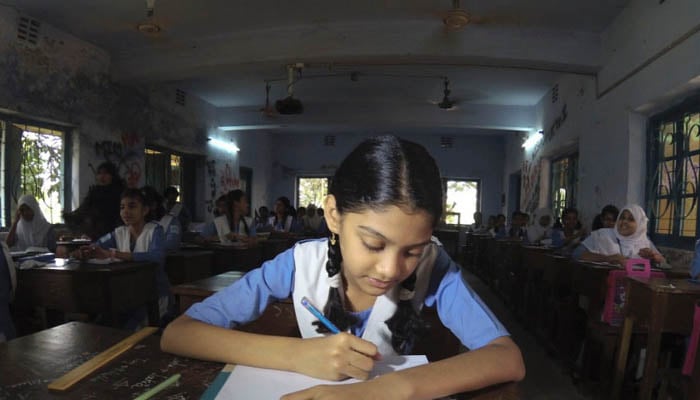 31 lakh take PEC exams   