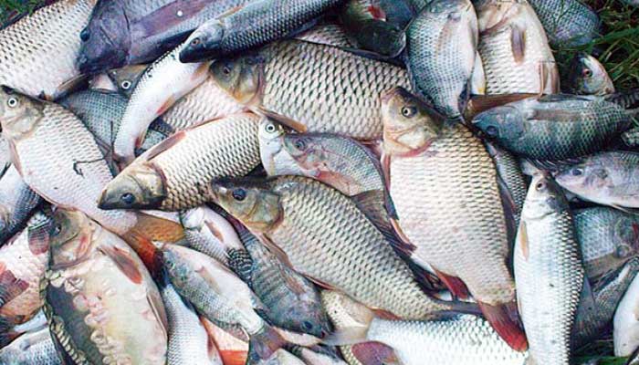 Bangladesh self-sufficient in meat, fish production: Minister 