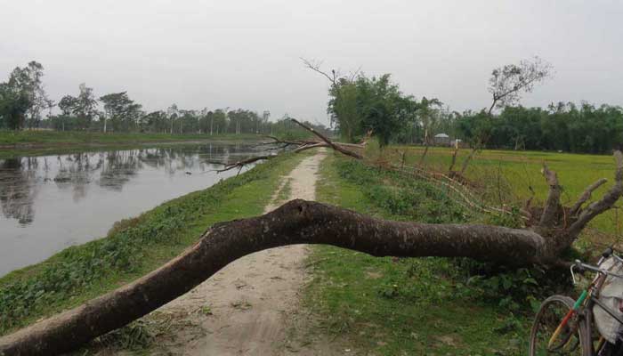 8 killed as nor’wester lashes Nilphamari