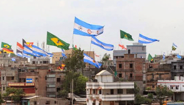 Writ filed seeking ban on hoisting of foreign flags