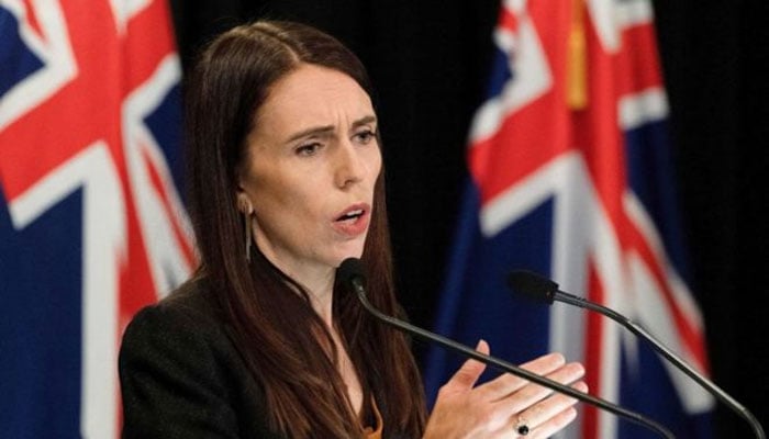 Christchurch attack: New Zealand's Ardern orders top-level inquiry