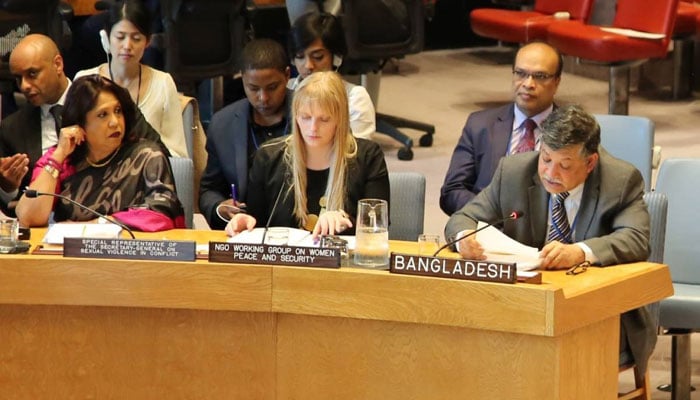 UNSC cannot avoid responsibility over Rohingya crisis: Bangladesh