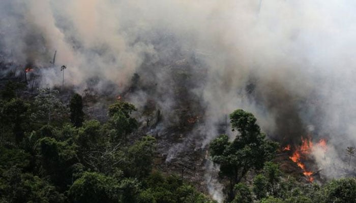Brazilian rainforest 'burning at record rate'