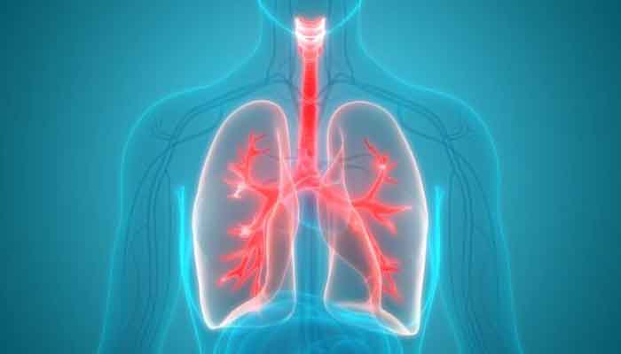 Fat found in overweight people's lungs