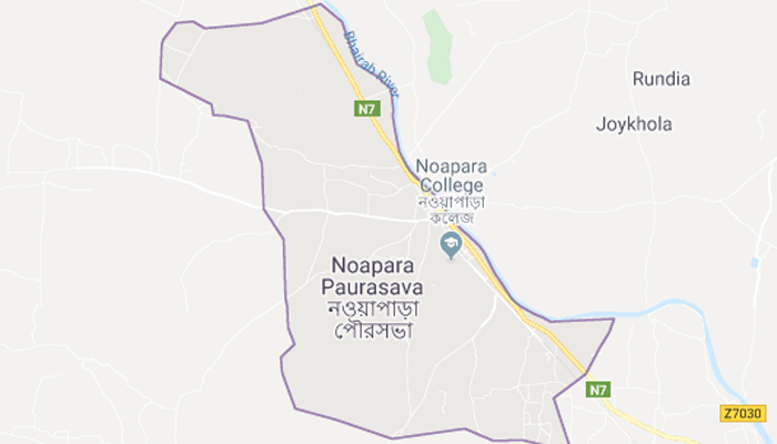 Two passers-by killed in Jessore road crash