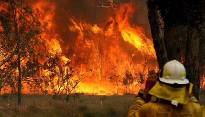 State of emergency declared in fire-hit Australia