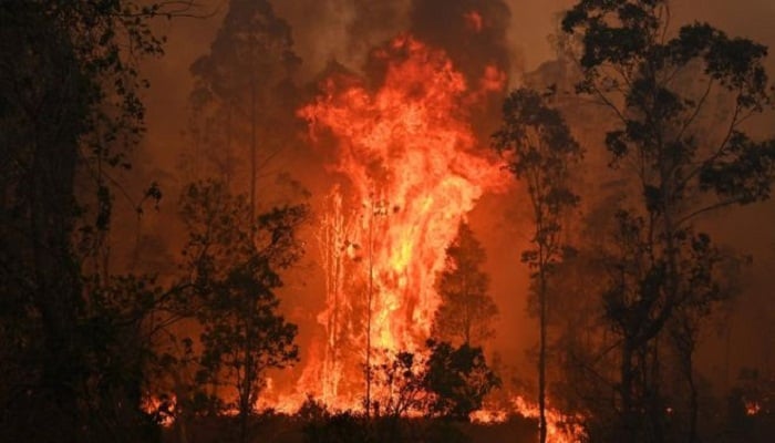 Australia’s massive bushfires kills 3, forces thousands