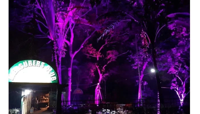 Kolkata turns pink