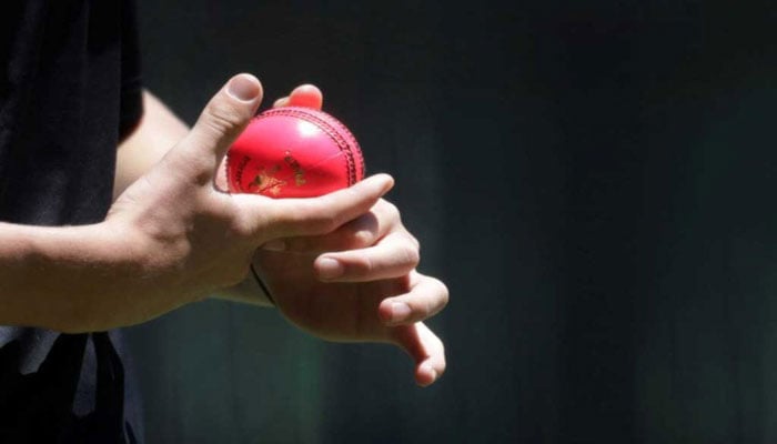 Bangladesh, India finally join the pink-ball party