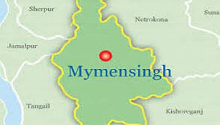 198 rural bridges being constructed in Mymensingh