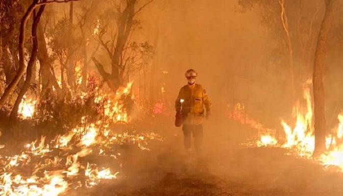 Fires and heat prompt Australia state of emergency