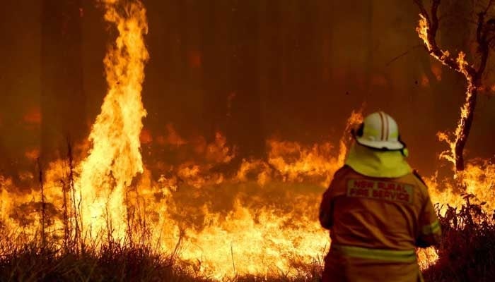 New South Wales state of emergency over bushfires