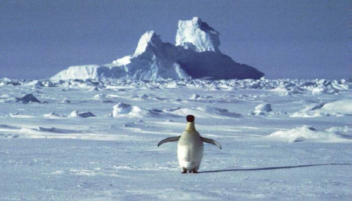 Antarctica appears to have broken a heat record
