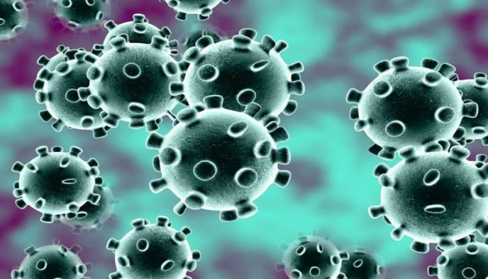 No coronavirus case found among China returnees: IEDCR