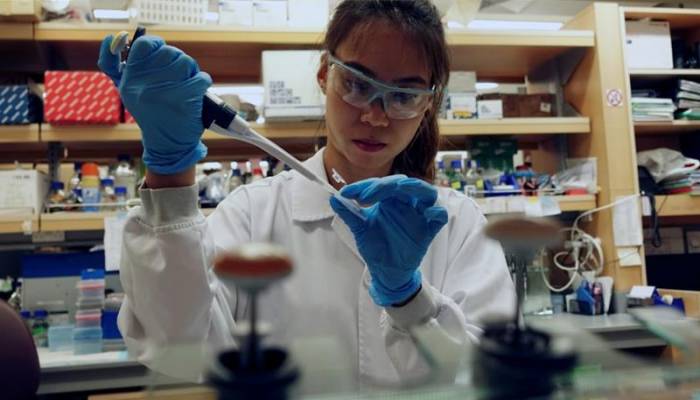 2,000 physicians, 6000 nurses to be recruited to combat COVID-19