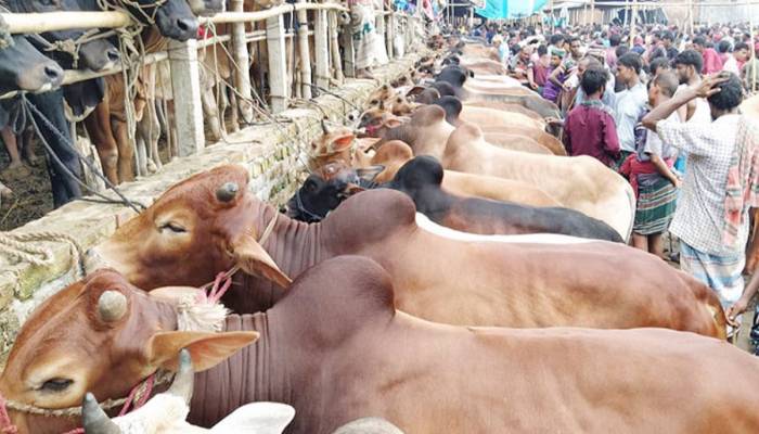 No haat in densely populated areas: DNCC Mayor