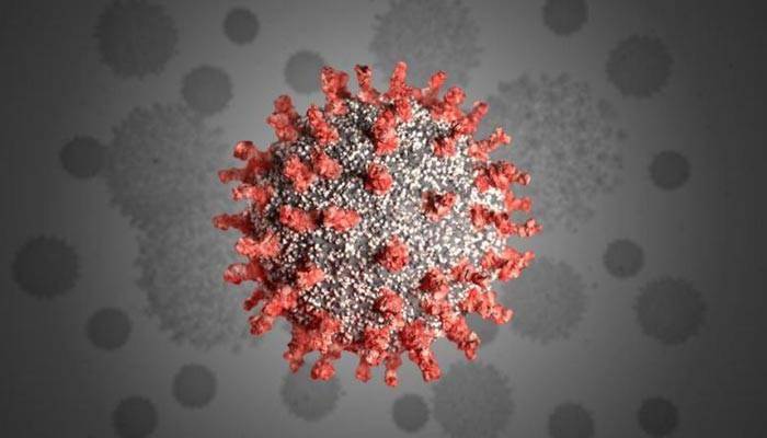 Coronavirus mutates its genome fast in Bangladesh