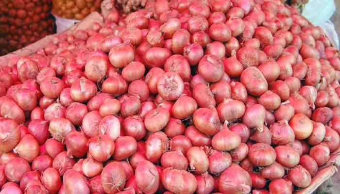 What‘s govt response to deal with onion price volatility