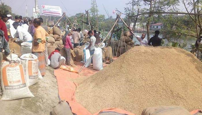 Govt to procure 8.50 lakh tonnes food grains this year