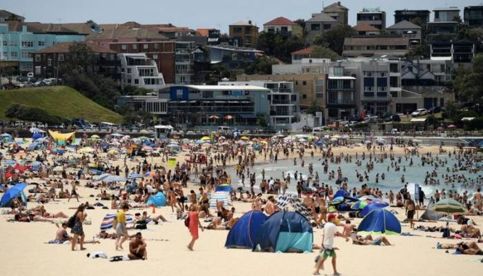 Sydney records hottest November night on record