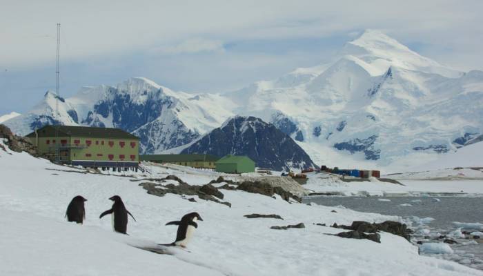 Antarctica is Earth's one virus-free continent