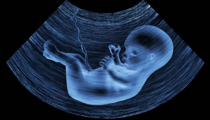 Microplastics revealed in the placentas of unborn babies