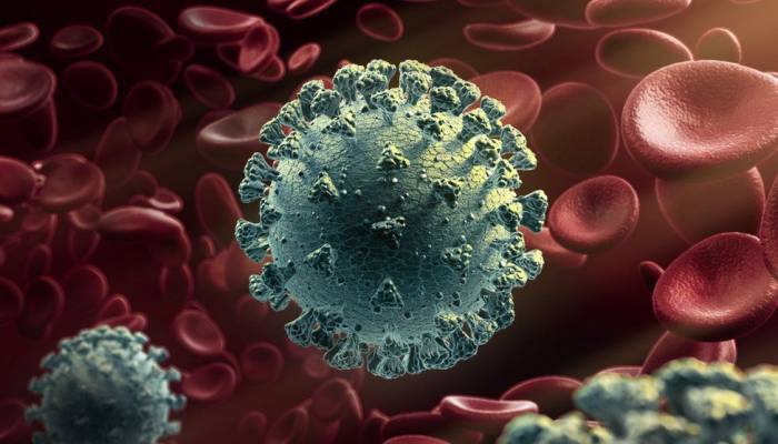 New coronavirus variant: What do we know?