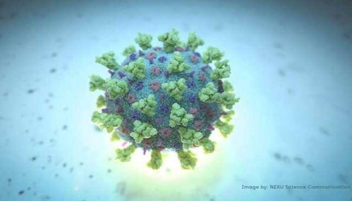Strong immune response in asymptomatic patients