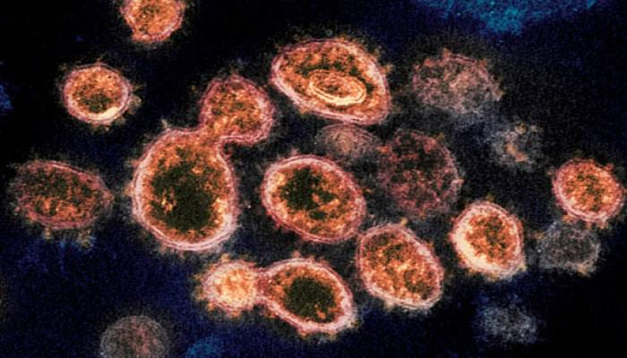 U.S. Ohio researchers discover two new COVID-19 variants