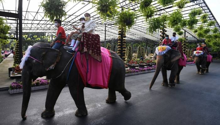 Thai couples wed on elephants on Valentine's Day